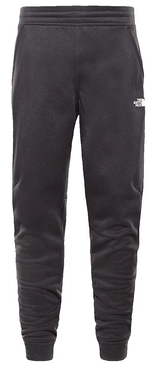 North face store surgent poly pant